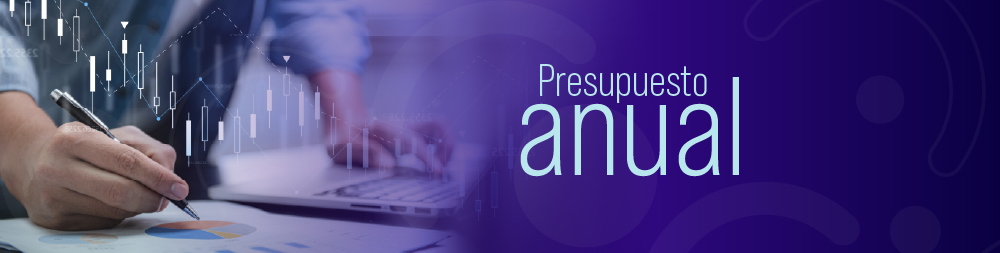 Presupuesto anual FOMAG