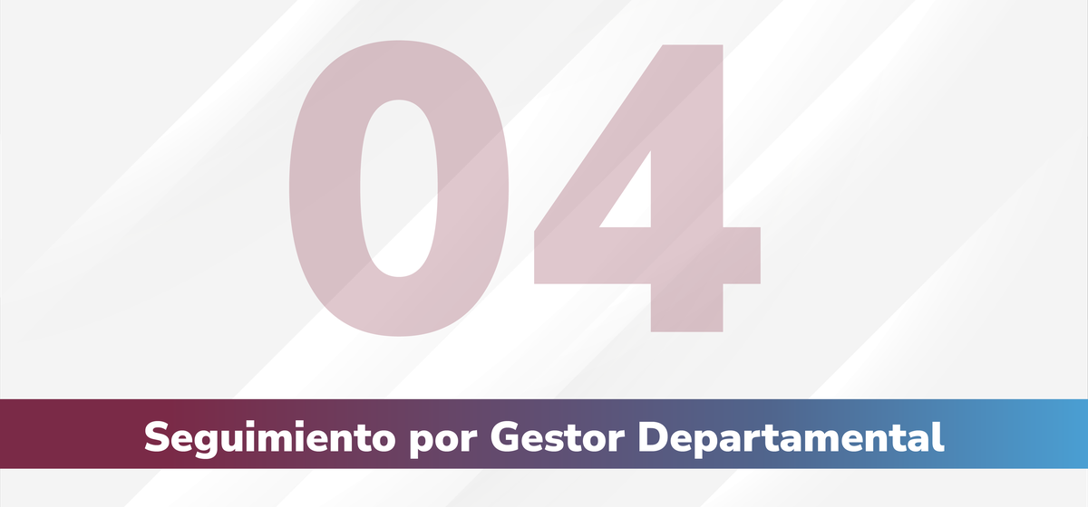 Paso 04 - Seguimiento por Gestor Departamental